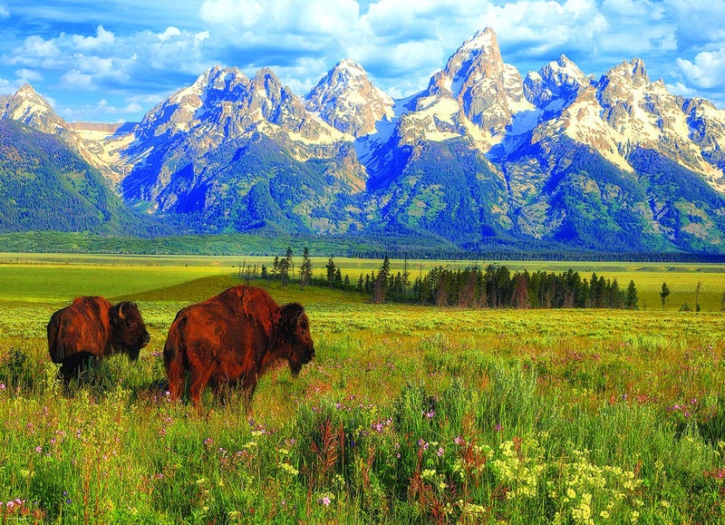 EuroGraphics Grand Teton National Park Photography by Steve Hinch 1000-Piece Puzzle - Image 2